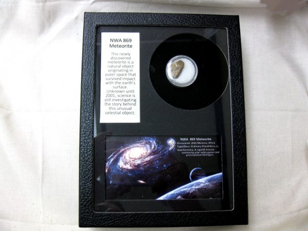 NWA #869 Meteorite Frame For Sale #1