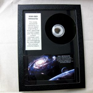 NWA #869 Meteorite Frame For Sale #2