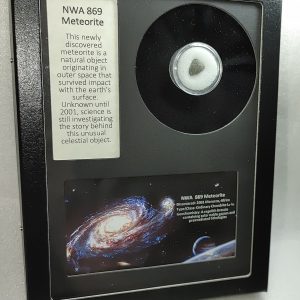 NWA #869 Meteorite Frame For Sale #4