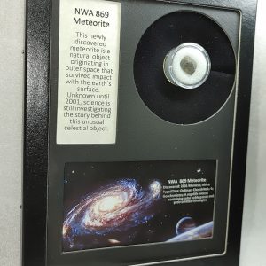 NWA #869 Meteorite Frame For Sale #5