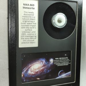 NWA #869 Meteorite Frame For Sale #6