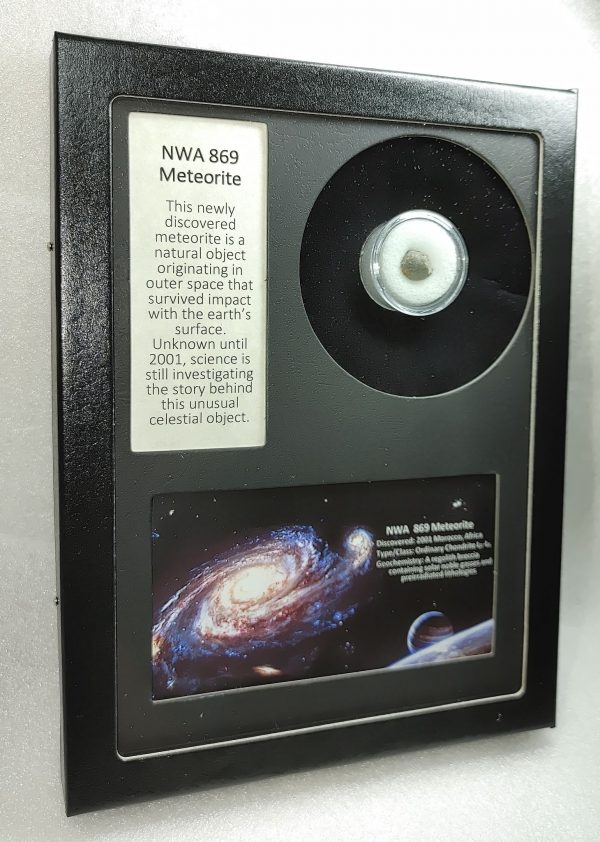 NWA #869 Meteorite Frame For Sale #6