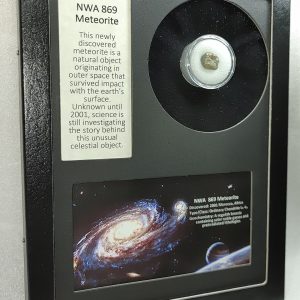 NWA #869 Meteorite Frame For Sale #7