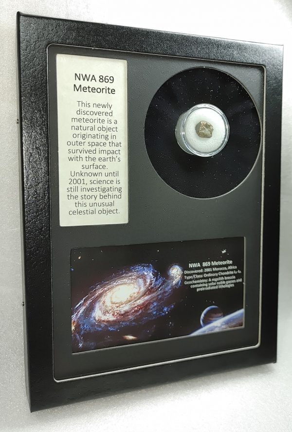 NWA #869 Meteorite Frame For Sale #7