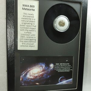 NWA #869 Meteorite Frame For Sale #8