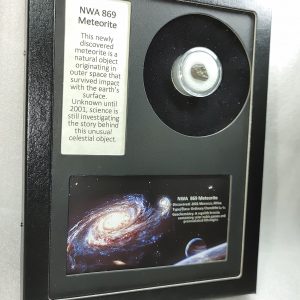 NWA #869 Meteorite Frame For Sale #9