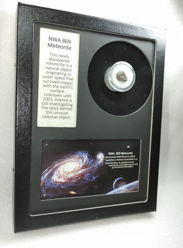 NWA #869 Meteorite Frame For Sale #9