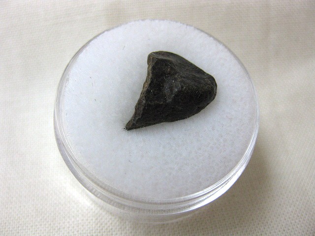 Oman-meteorite-piece-8.jpg | Fossils for Sale
