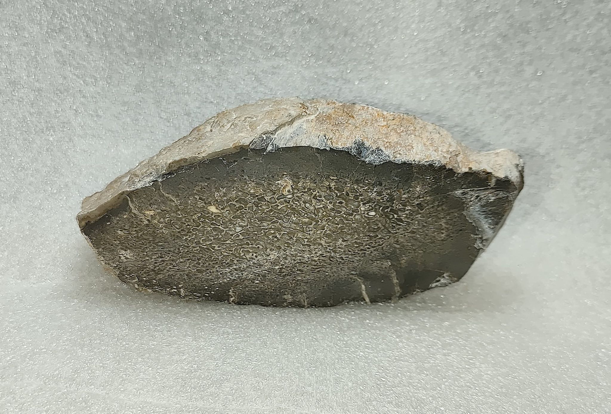 Dinosaur Volcanic Plateau SLAB Lite Baseplate - 12 x 12 – B3 Customs