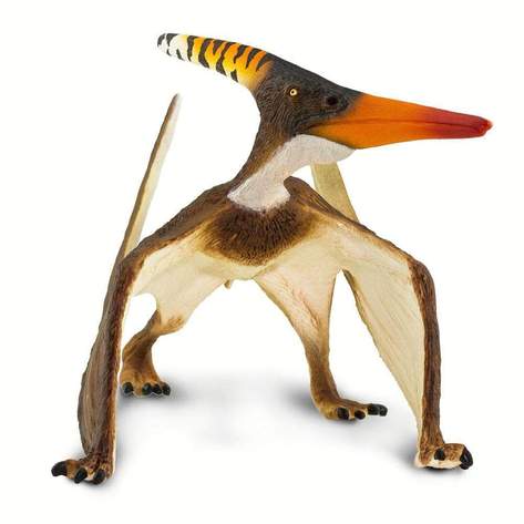 Safari-Pteranodon-2.jpg | Fossils for Sale