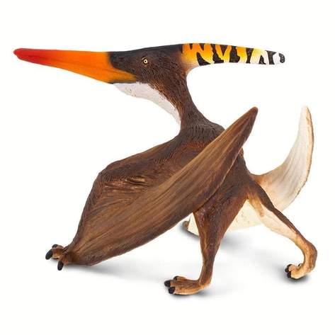Safari-Pteranodon-4.jpg | Fossils for Sale