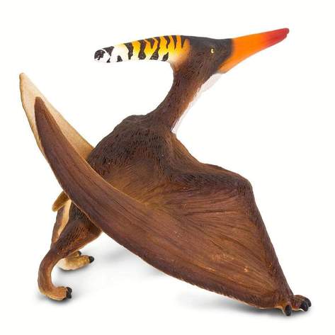Safari-Pteranodon-5.jpg | Fossils for Sale