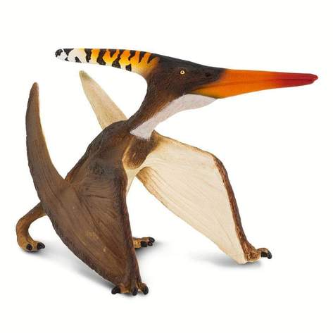 Safari-Pteranodon-6.jpg | Fossils for Sale