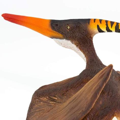 Safari-Pteranodon-8.jpg | Fossils for Sale