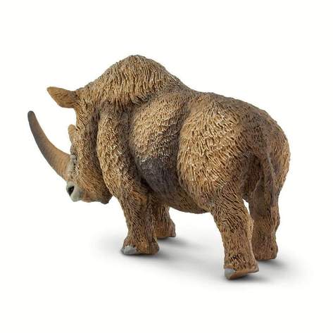 Safari-Woolly-Rhino-3.jpg | Fossils for Sale