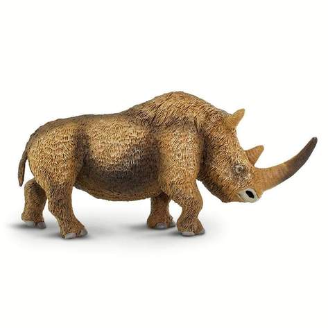 Safari-Woolly-Rhino-4.jpg | Fossils for Sale