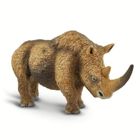 Safari-Woolly-Rhino-5.jpg | Fossils for Sale