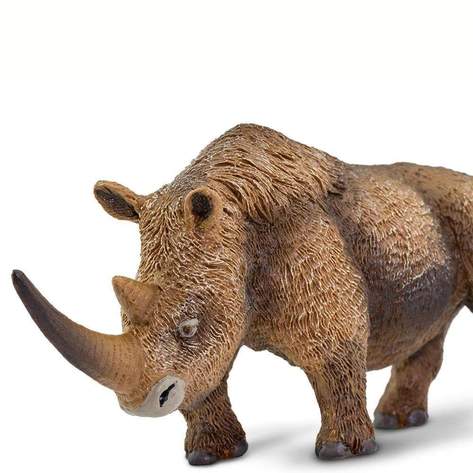 Safari-Woolly-Rhino-6.jpg | Fossils for Sale