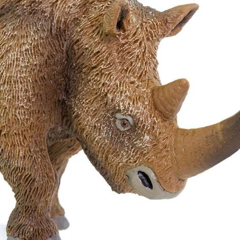 Safari-Woolly-Rhino-7.jpg | Fossils for Sale