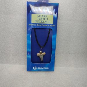 Shark Tooth Necklace For Sale #11