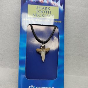 Shark Tooth Necklace For Sale #8