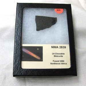 Northwest Africa Meteorite Slice #10 For Sale