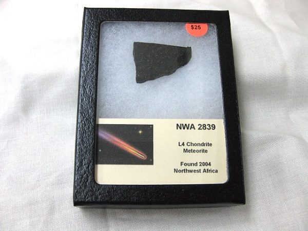 Northwest Africa Meteorite Slice #10 For Sale