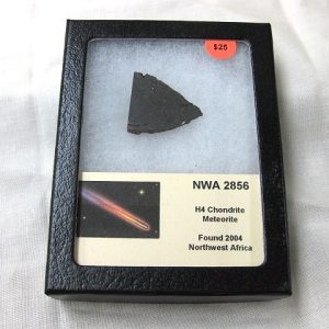 Northwest Africa Meteorite Slice #5 For Sale