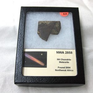 Northwest Africa Meteorite Slice #6 For Sale