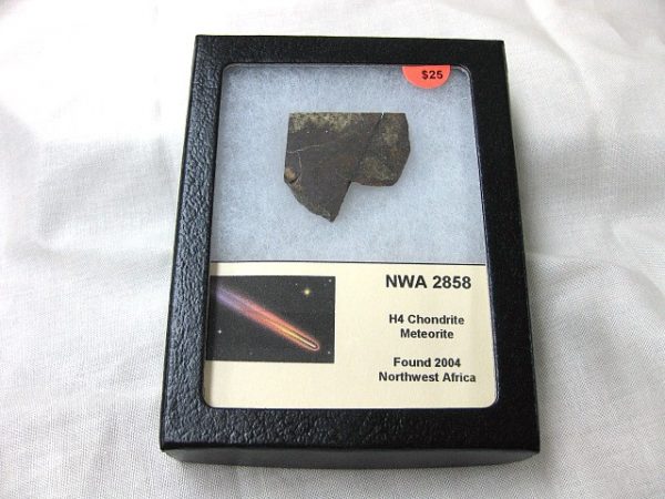 Northwest Africa Meteorite Slice #6 For Sale