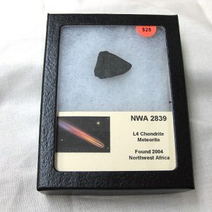 Northwest Africa Meteorite Slice #7 For Sale