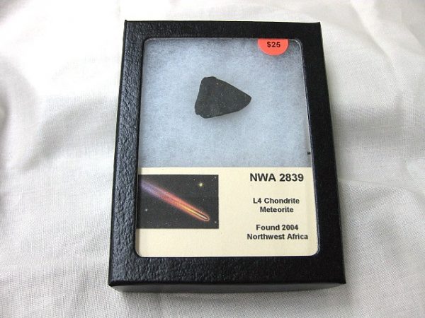 Northwest Africa Meteorite Slice #7 For Sale