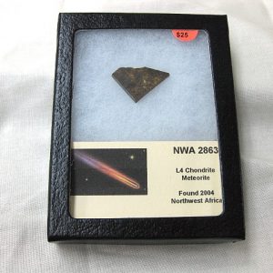 Northwest Africa Meteorite Slice #8 For Sale