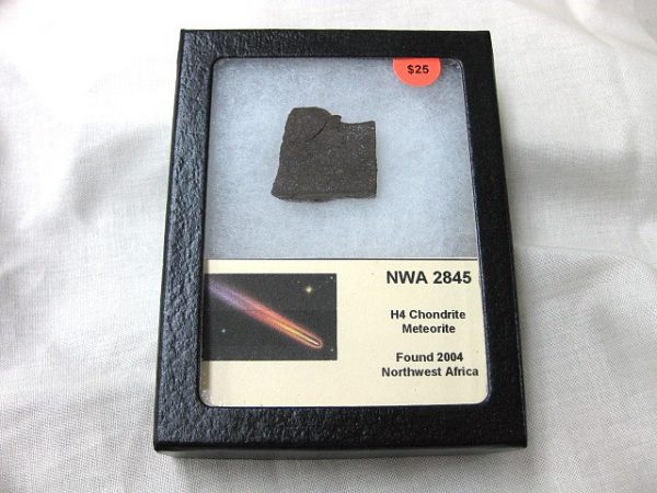 Northwest Africa Meteorite Slice #9 For Sale