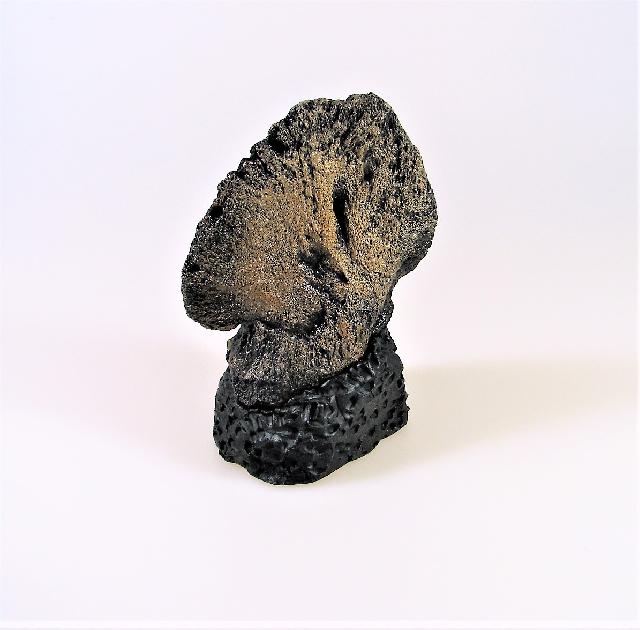 Trriceratops-Hoof-Replica-with-base-2.jpg | Fossils for Sale Replica Triceratops Hoof with Base For Sale-2