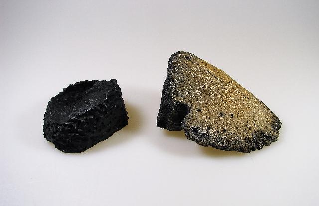 Trriceratops-Hoof-Replica-with-base-3.jpg | Fossils for Sale Replica Triceratops Hoof with Base For Sale-3