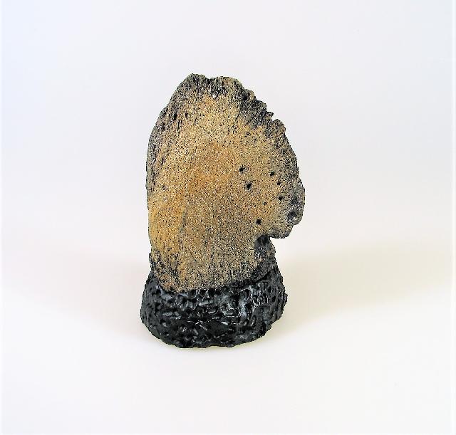 Trriceratops-Hoof-Replica-with-base.jpg | Fossils for Sale Replica Triceratops Hoof with Base For Sale