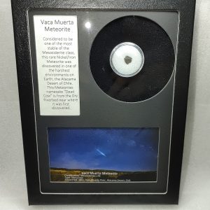 Vaca Muerta Meteorite Frame For Sale #3