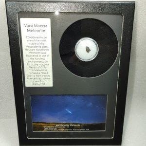 Vaca Muerta Meteorite Frame For Sale #6