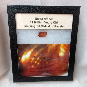 Genuine Baltic Amber For Sale #113a