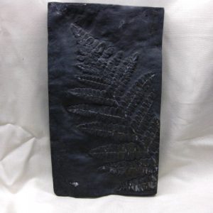 Genuine Carboniferous Period German Carboniferous Fern Fossil for Sale from Germany #6