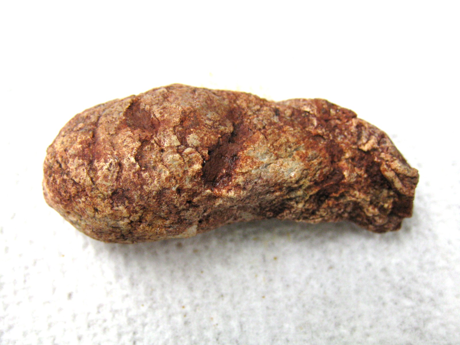 cretaceous-crocodile-fish-or-shark-coprolite-9b.jpg | Fossils for Sale Genuine Cretaceous Age Fish or Shark Coprolite Fossil for Sale from Africa #9b