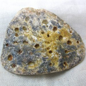 Genuine Cretaceous Age Fossil Crocodile Scute for Sale from Africa #3