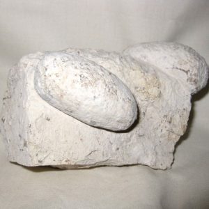 Genuine Eocene Age Fossil Crocodile Egg for Sale from France #5