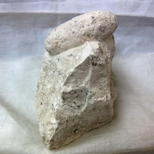 Fossil Crocodile Egg #18
