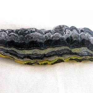 Bumble Bee Jasper From Indonesia For Sale #11