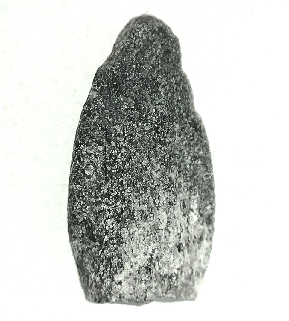 Jurassic Lapparentosaurus Sauropod Dinosaur Tooth 3d | Fossils for Sale
