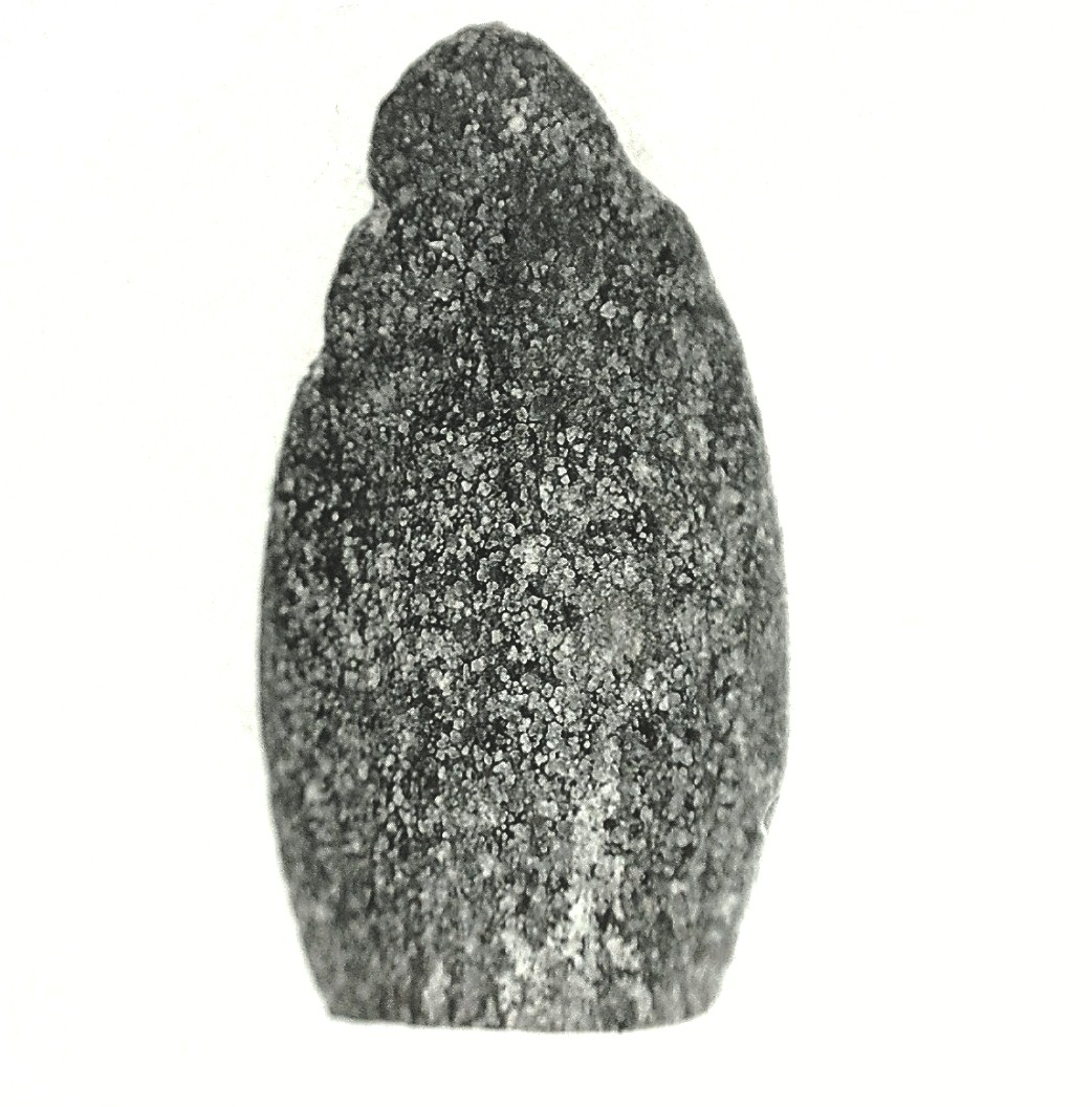 Jurassic Lapparentosaurus Sauropod Dinosaur Tooth 3a | Fossils for Sale