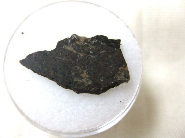 Meteorite Thin Slice in Gem Jar For Sale #4