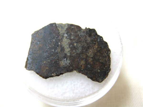 Meteorite Thin Slice in Gem Jar For Sale #5